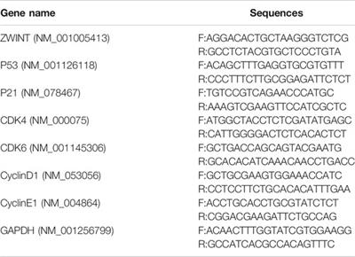 Hypoxia-Induced ZWINT Mediates Pancreatic Cancer Proliferation by Interacting With p53/p21